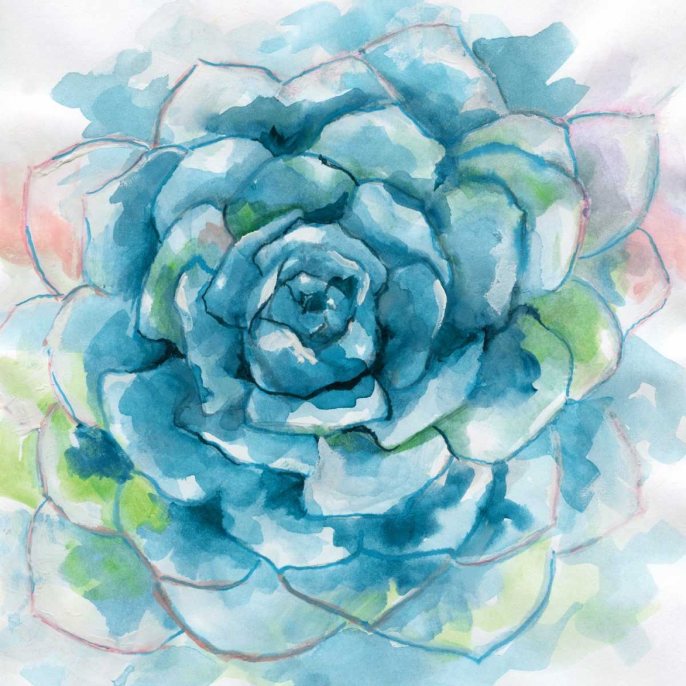 Succulent Bloom art print by Nan for $57.95 CAD