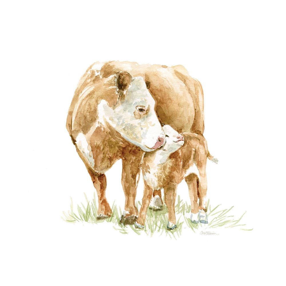 Cow and Calf art print by Carol Robinson for $57.95 CAD
