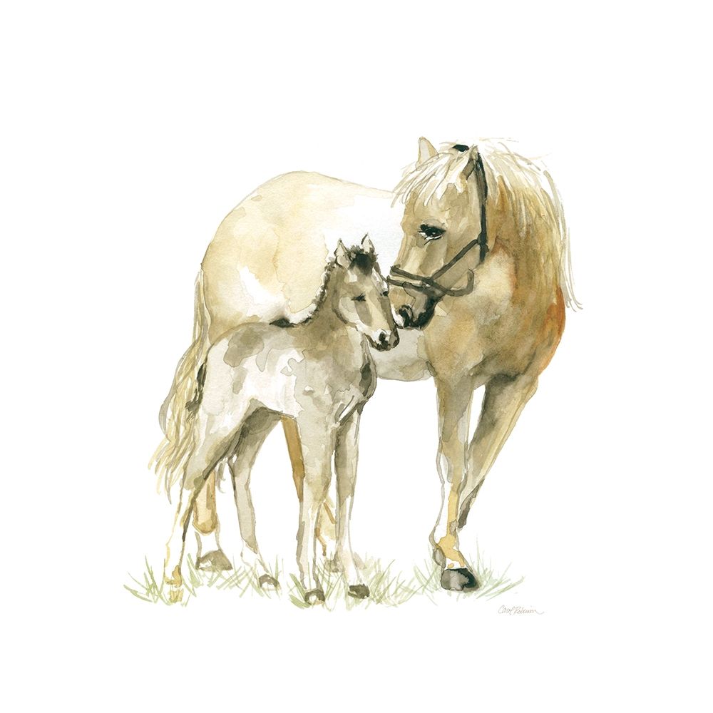 Horse and Colt art print by Carol Robinson for $57.95 CAD