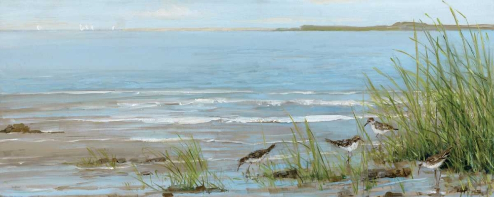 Sandpiper Beach art print by Sally Swatland for $57.95 CAD