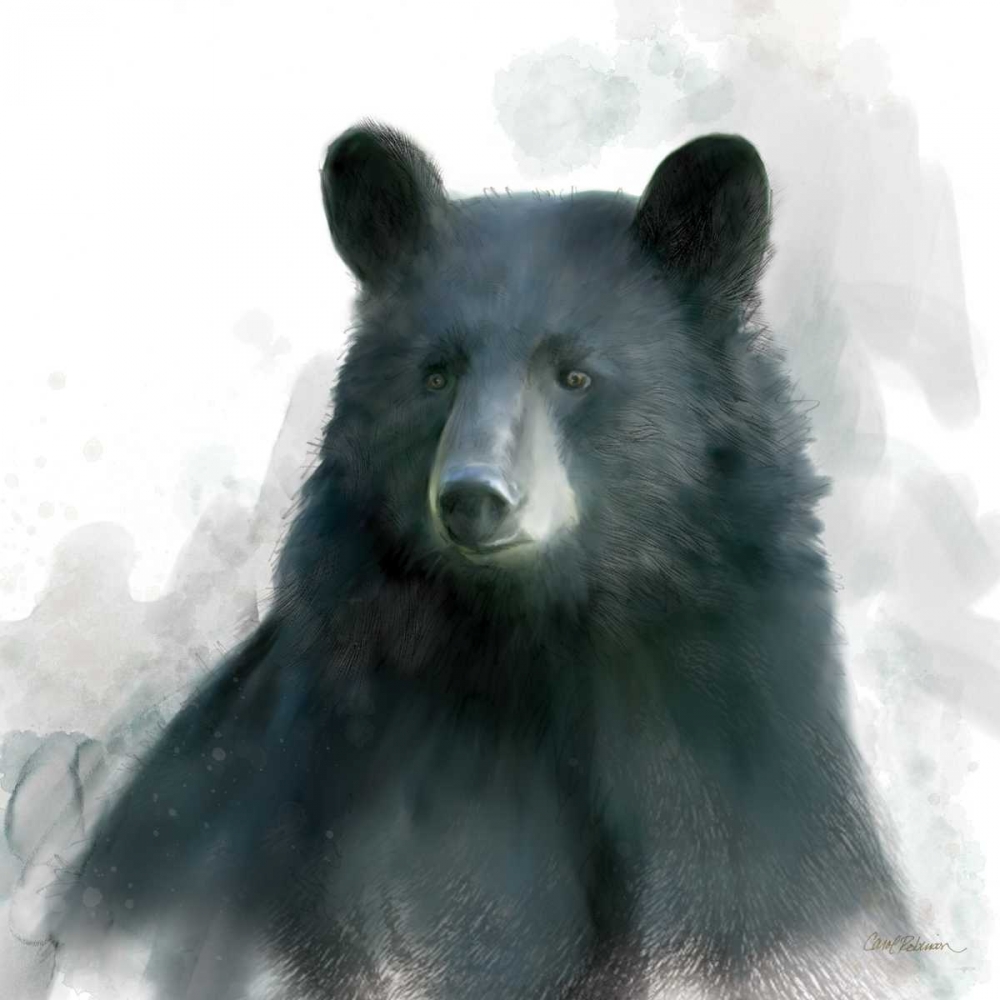 Rainsoft Bear art print by Carol Robinson for $57.95 CAD
