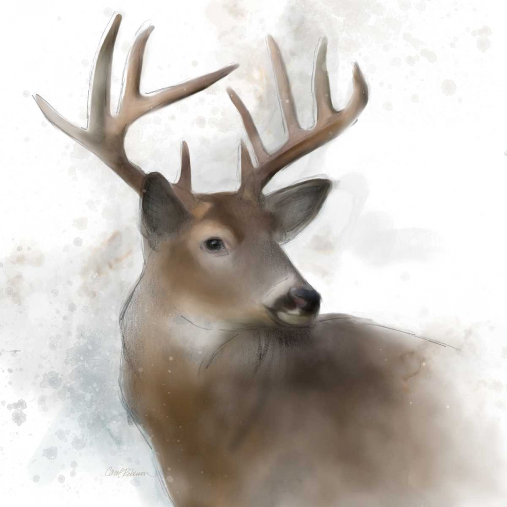 Rainsoft Deer art print by Carol Robinson for $57.95 CAD