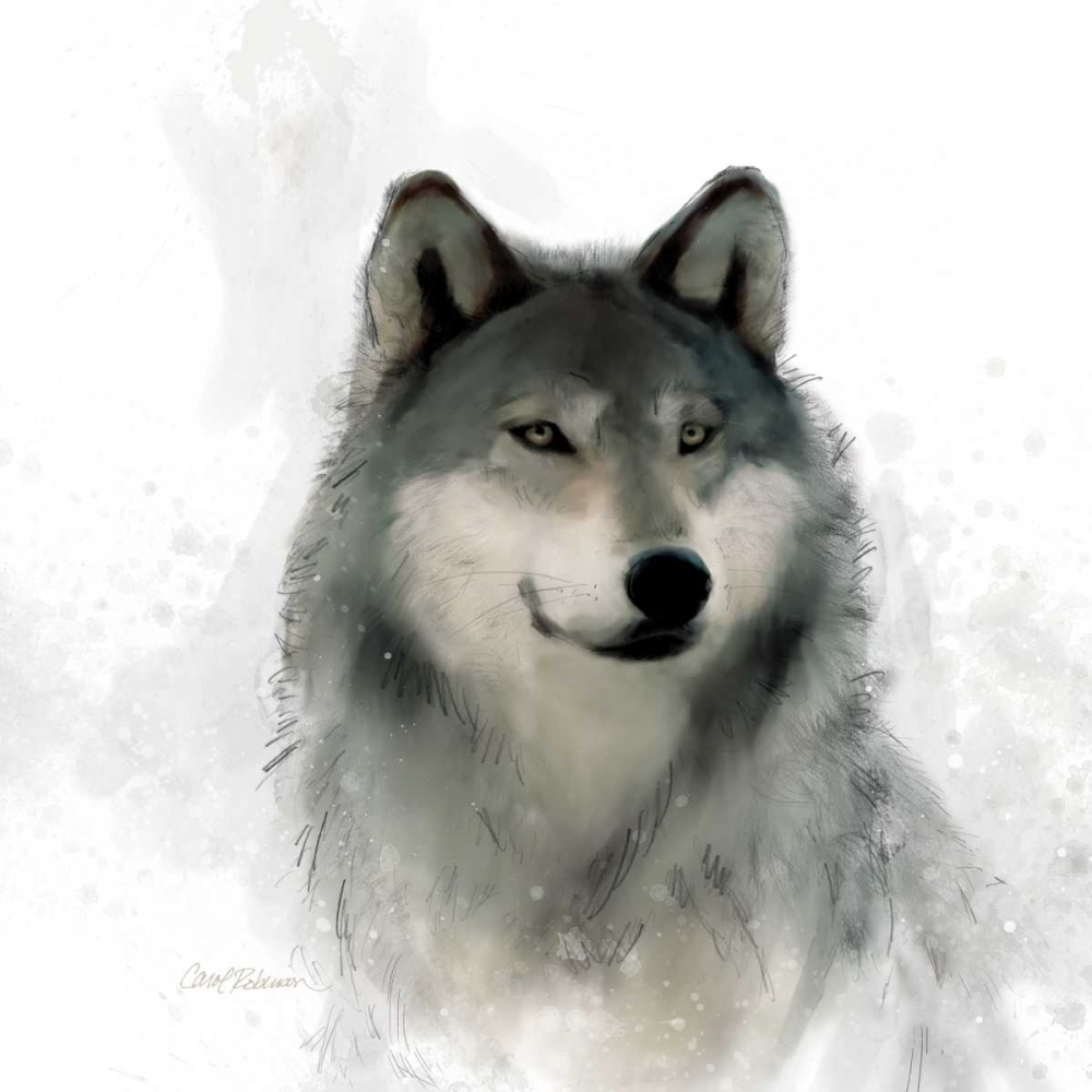 Rainsoft Wolf art print by Carol Robinson for $57.95 CAD