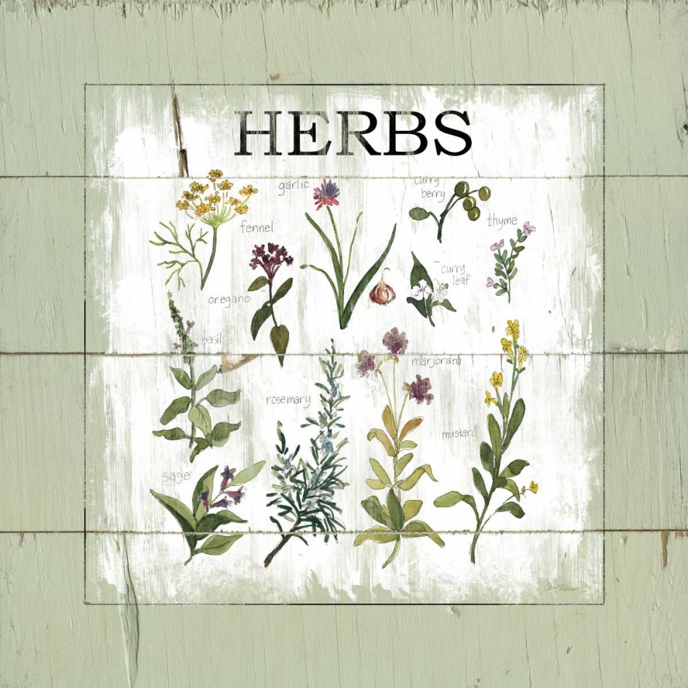 Shiplap Herbs art print by Carol Robinson for $57.95 CAD