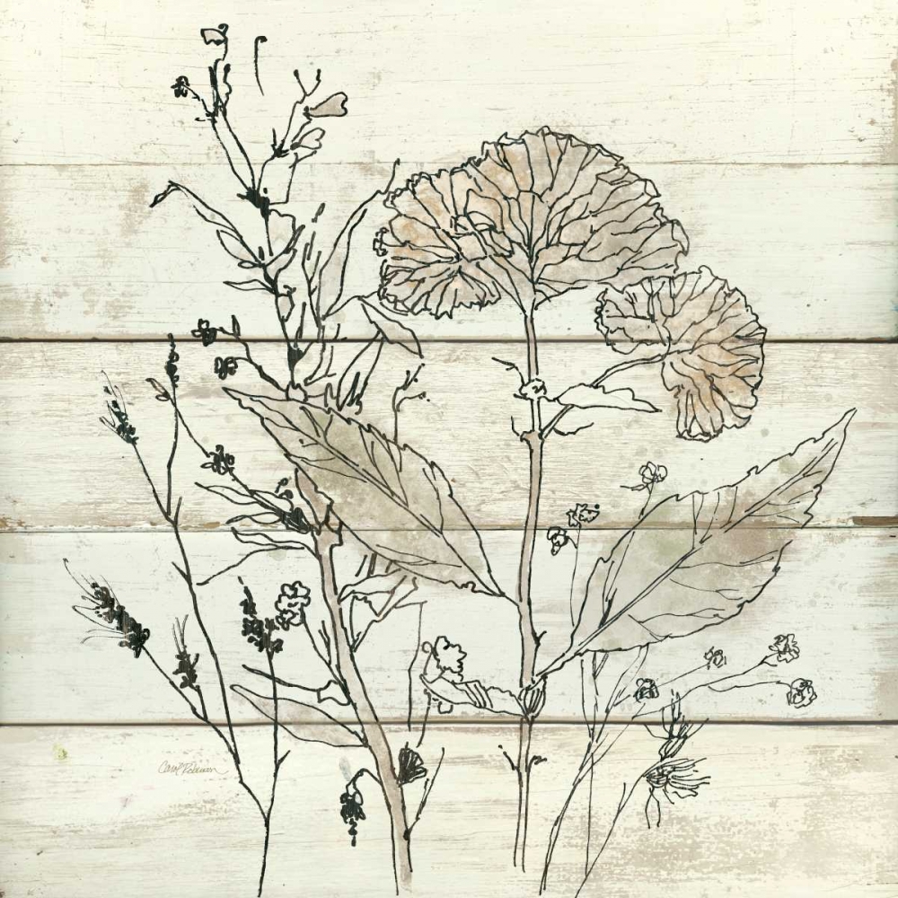 Dried Flower Study art print by Carol Robinson for $57.95 CAD