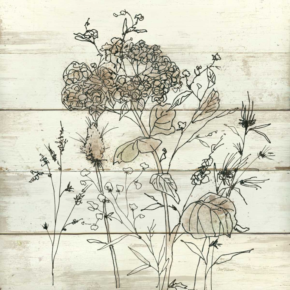 Dried Flower Study art print by Carol Robinson for $57.95 CAD