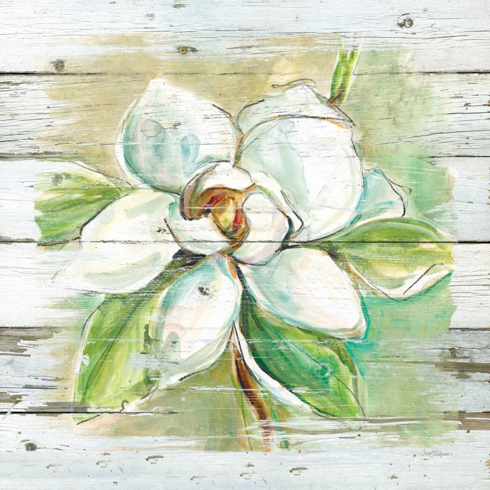 Country Magnolia art print by Carol Robinson for $57.95 CAD