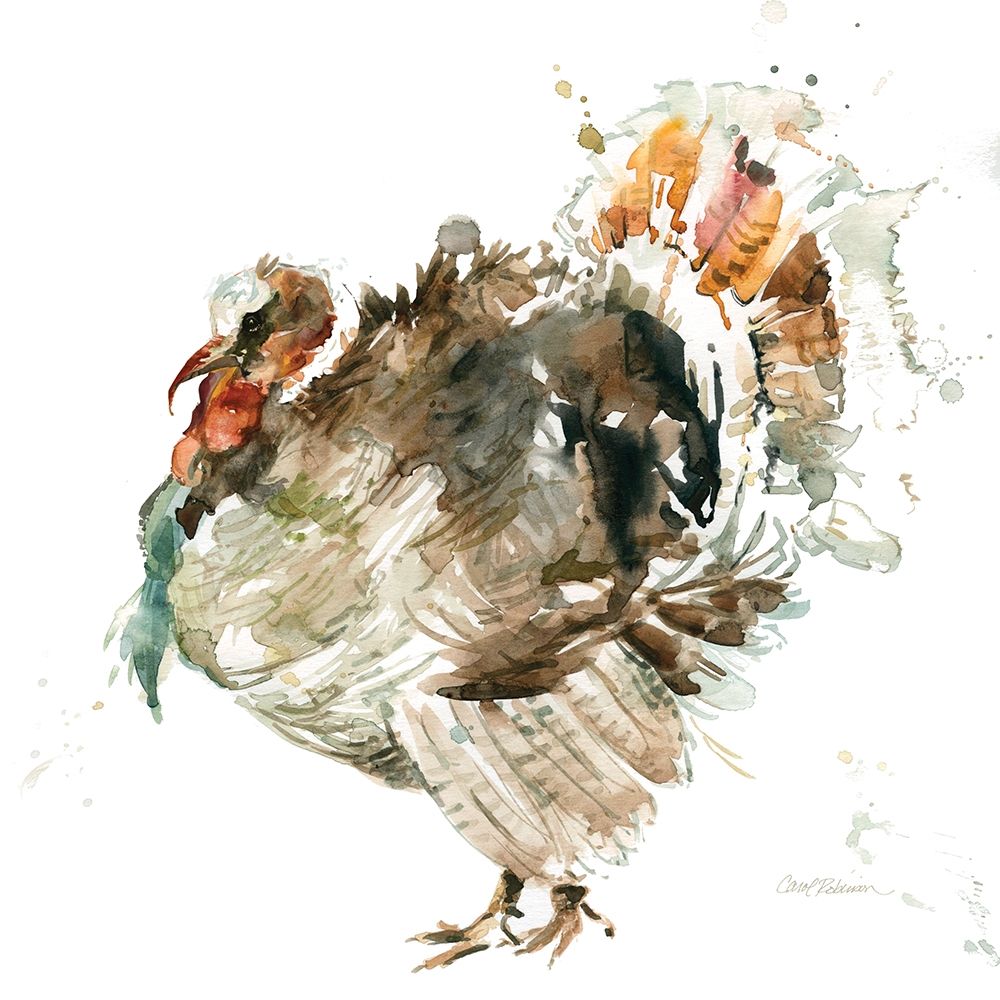 Harvest Turkey art print by Carol Robinson for $57.95 CAD