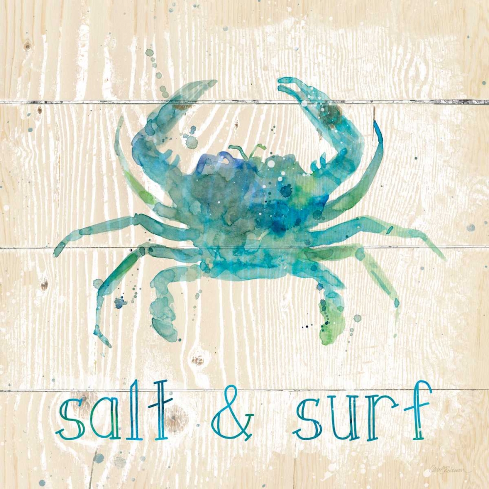 Salt And Surf art print by Carol Robinson for $57.95 CAD