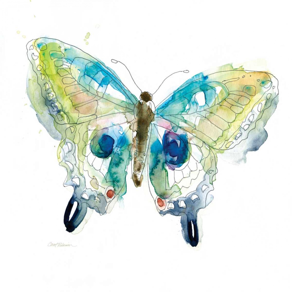 Sketchbook art print by Carol Robinson for $57.95 CAD