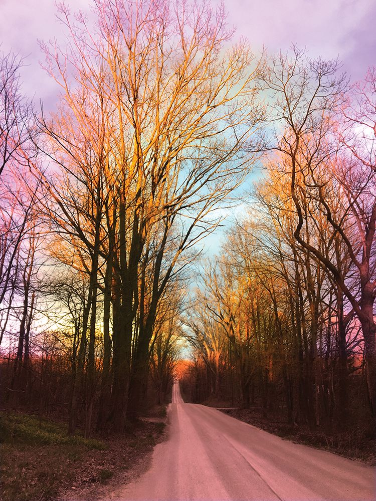 Rainbow Road art print by Nan for $57.95 CAD