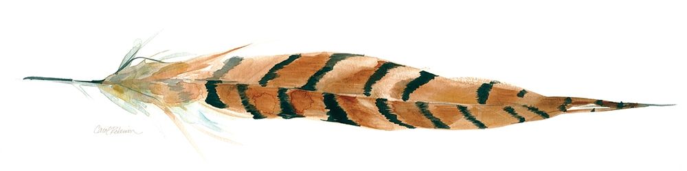 Tail Feather I art print by Carol Robinson for $57.95 CAD