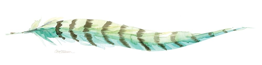 Tail Feather II art print by Carol Robinson for $57.95 CAD