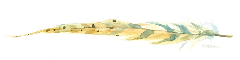 Tail Feather III art print by Carol Robinson for $57.95 CAD