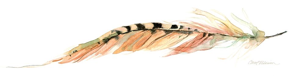 Tail Feather IV art print by Carol Robinson for $57.95 CAD