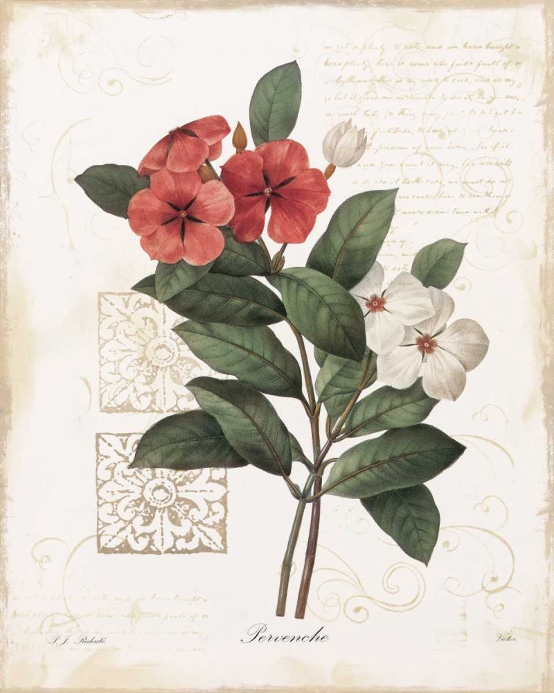 Pervenche art print by Carol Robinson for $57.95 CAD