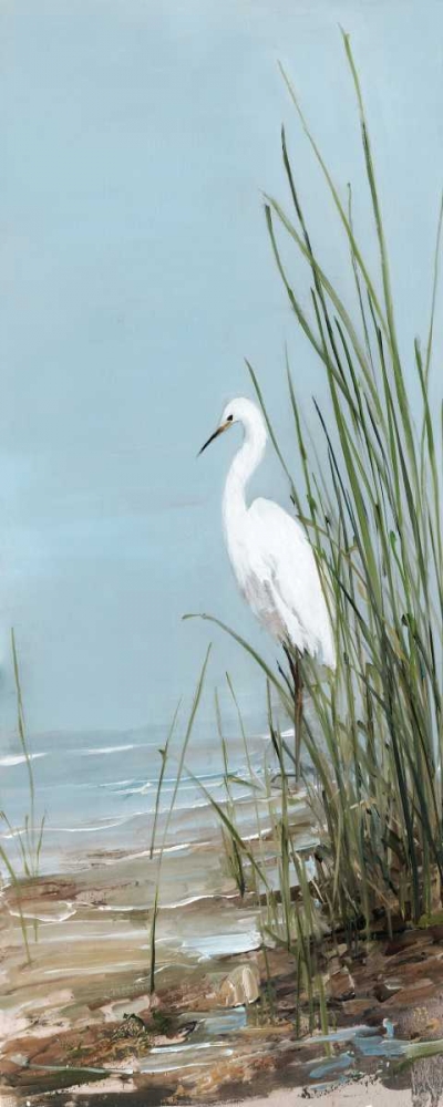 Island Egret II art print by Sally Swatland for $57.95 CAD