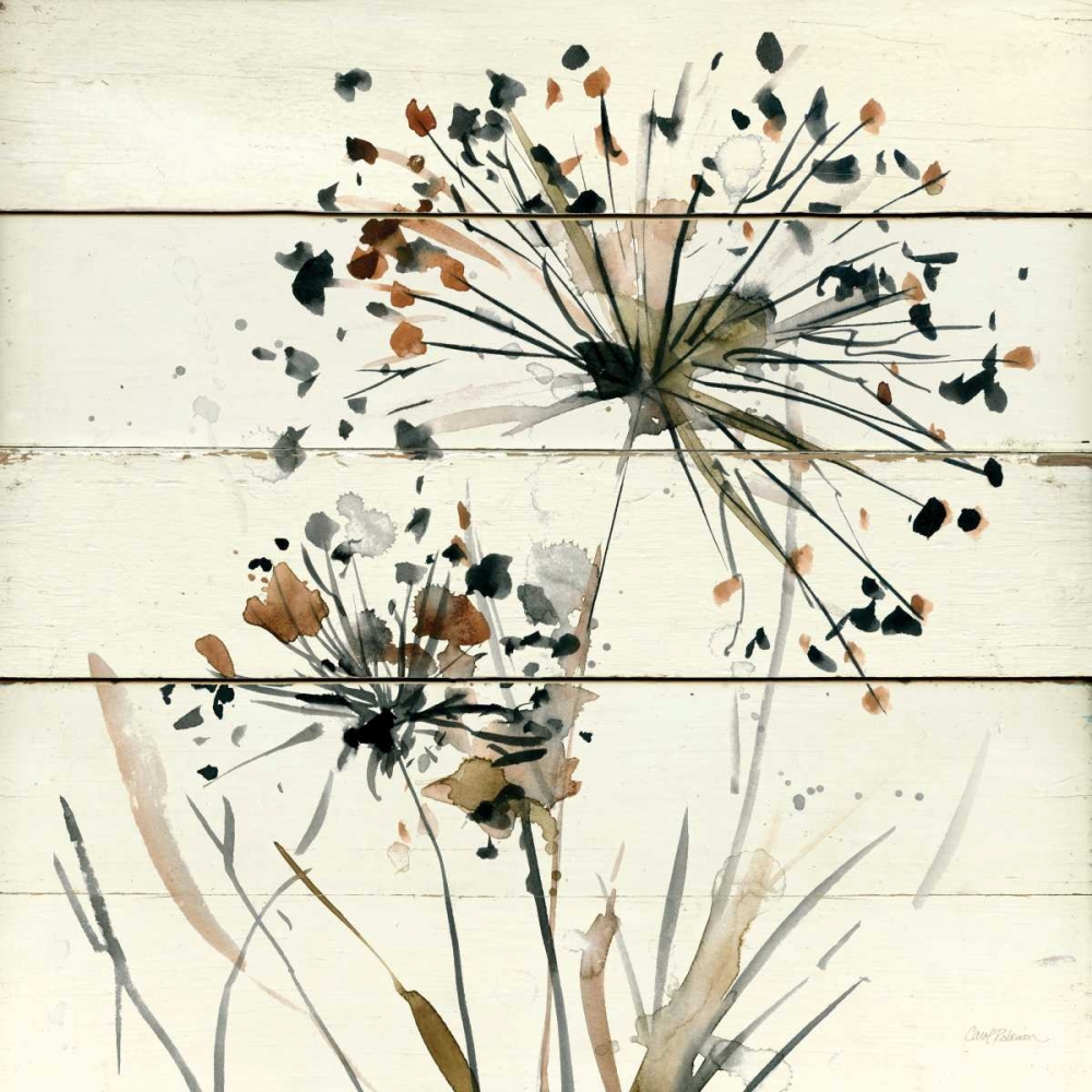 Natures Lace I art print by Carol Robinson for $57.95 CAD