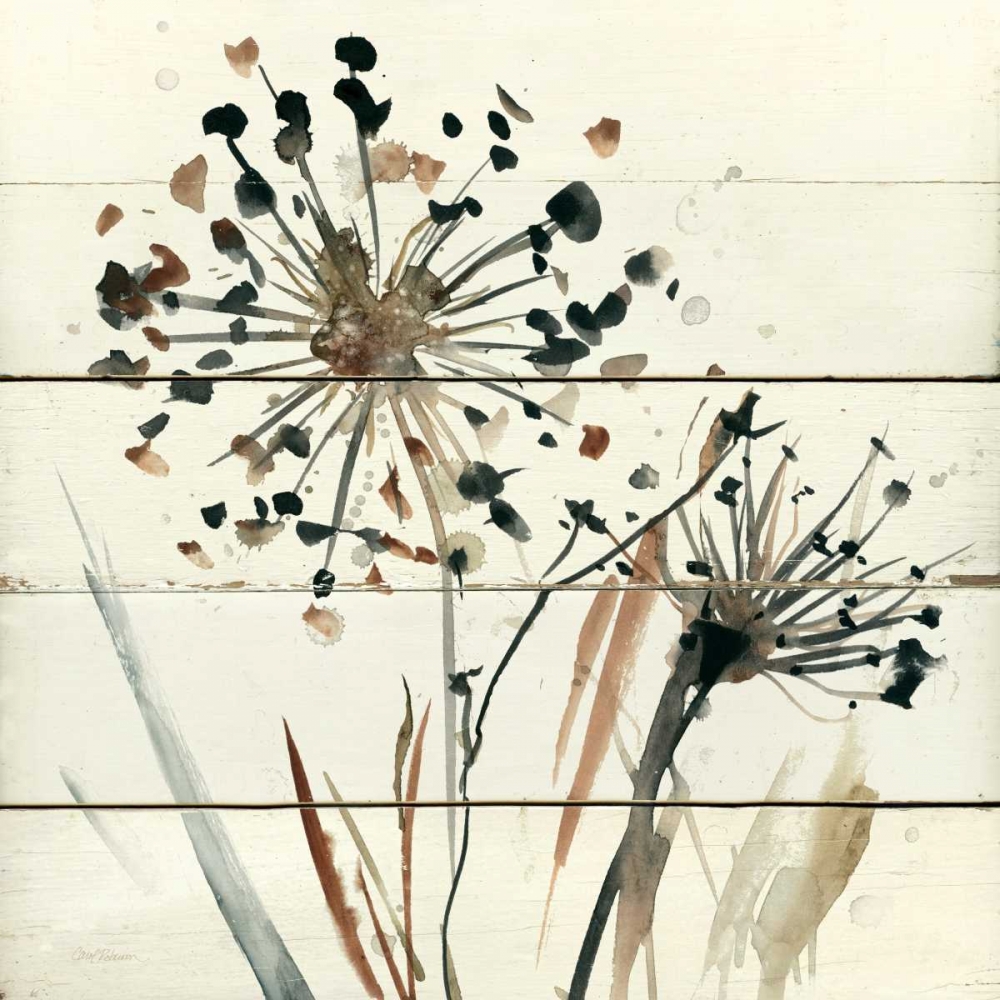 Natures Lace II art print by Carol Robinson for $57.95 CAD