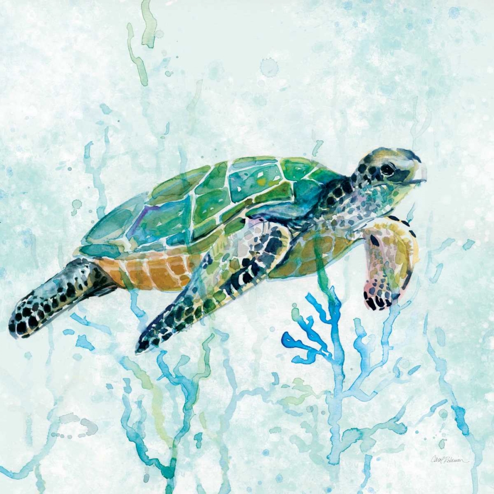 Sea Turtle Swim I art print by Carol Robinson for $57.95 CAD