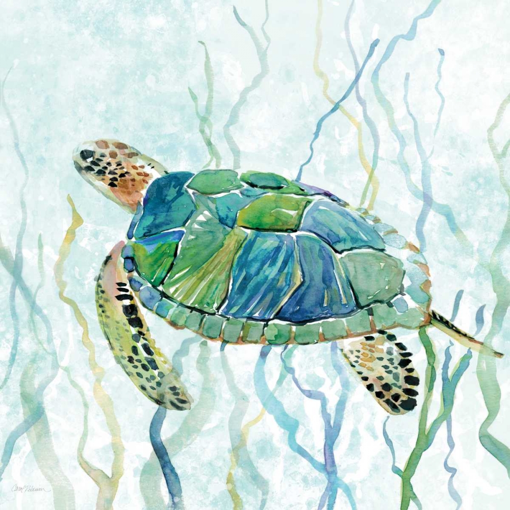 Sea Turtle Swim II art print by Carol Robinson for $57.95 CAD