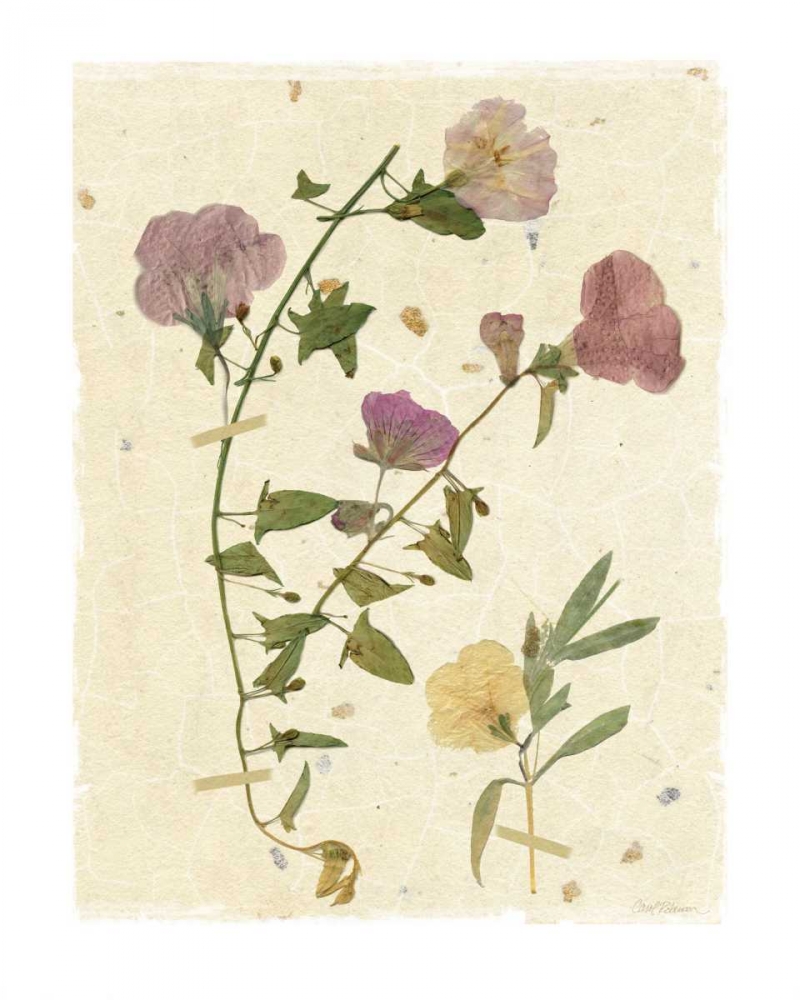 Pressed Morning art print by Carol Robinson for $57.95 CAD