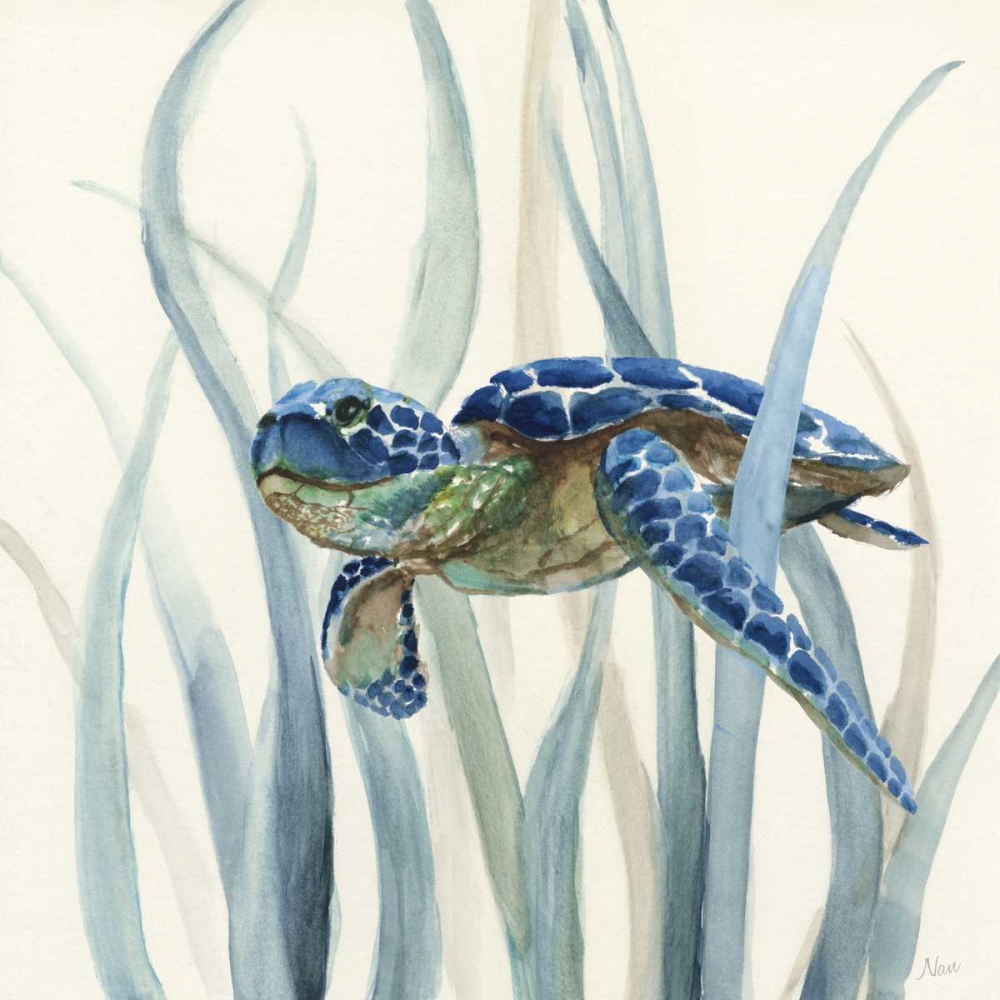 Turtle in Seagrass II art print by Nan for $57.95 CAD