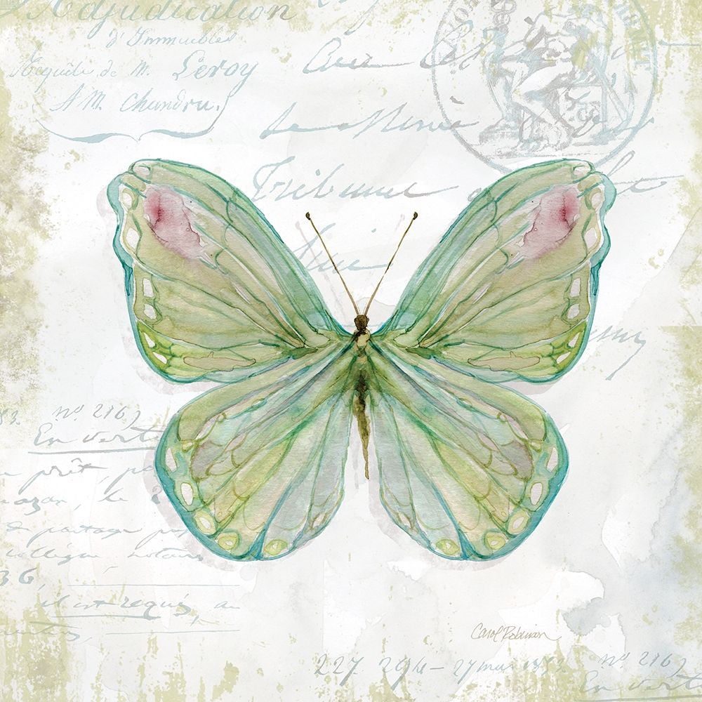 Garden Moth art print by Carol Robinson for $57.95 CAD