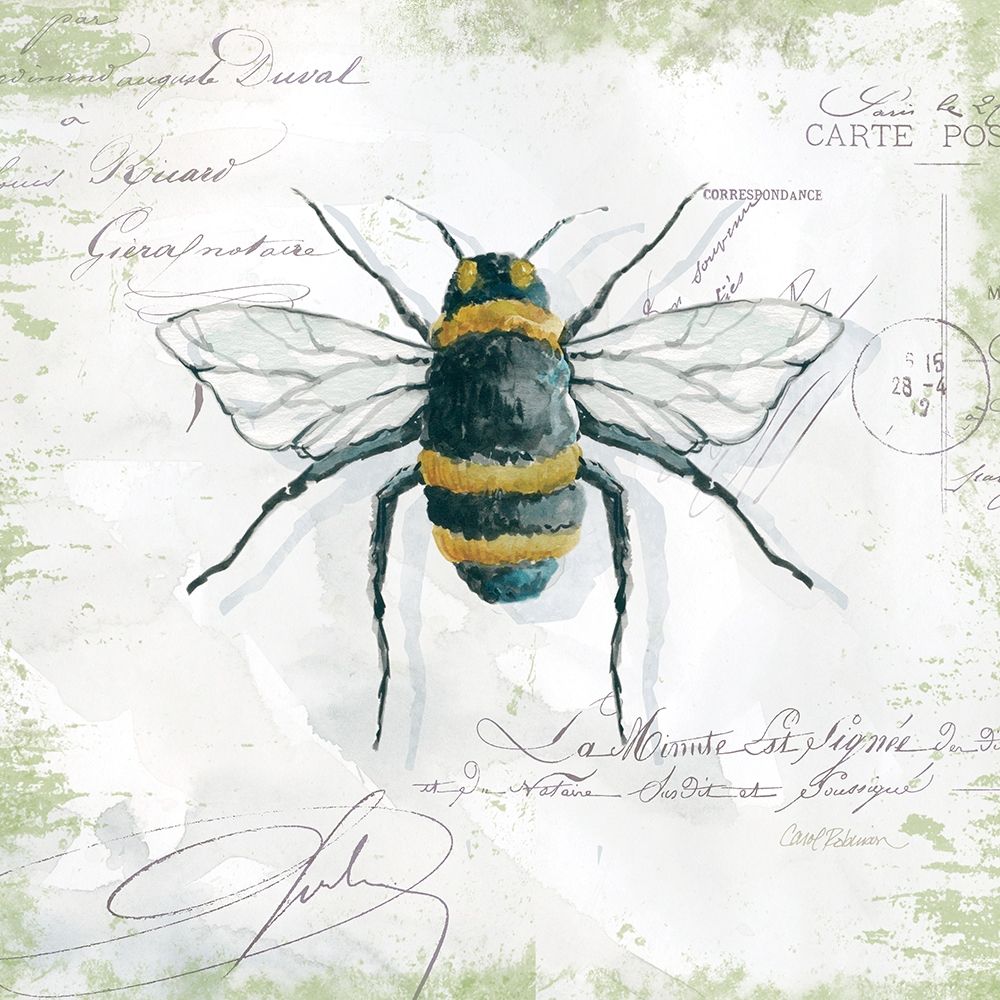 Garden Bee art print by Carol Robinson for $57.95 CAD