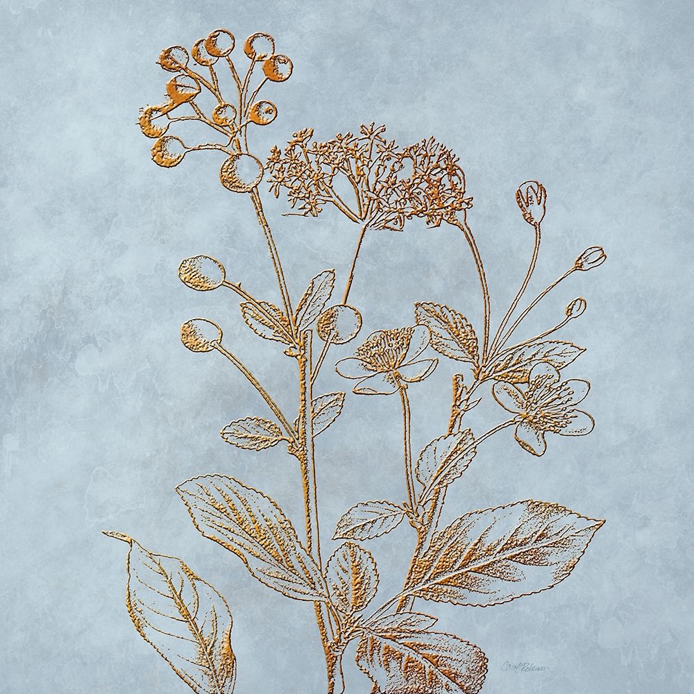 Antique Bronze II art print by Carol Robinson for $57.95 CAD