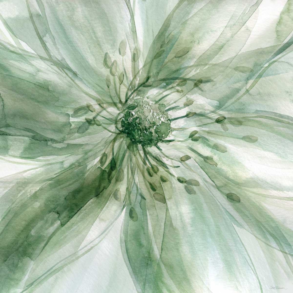 Macro Sage Flower art print by Carol Robinson for $57.95 CAD