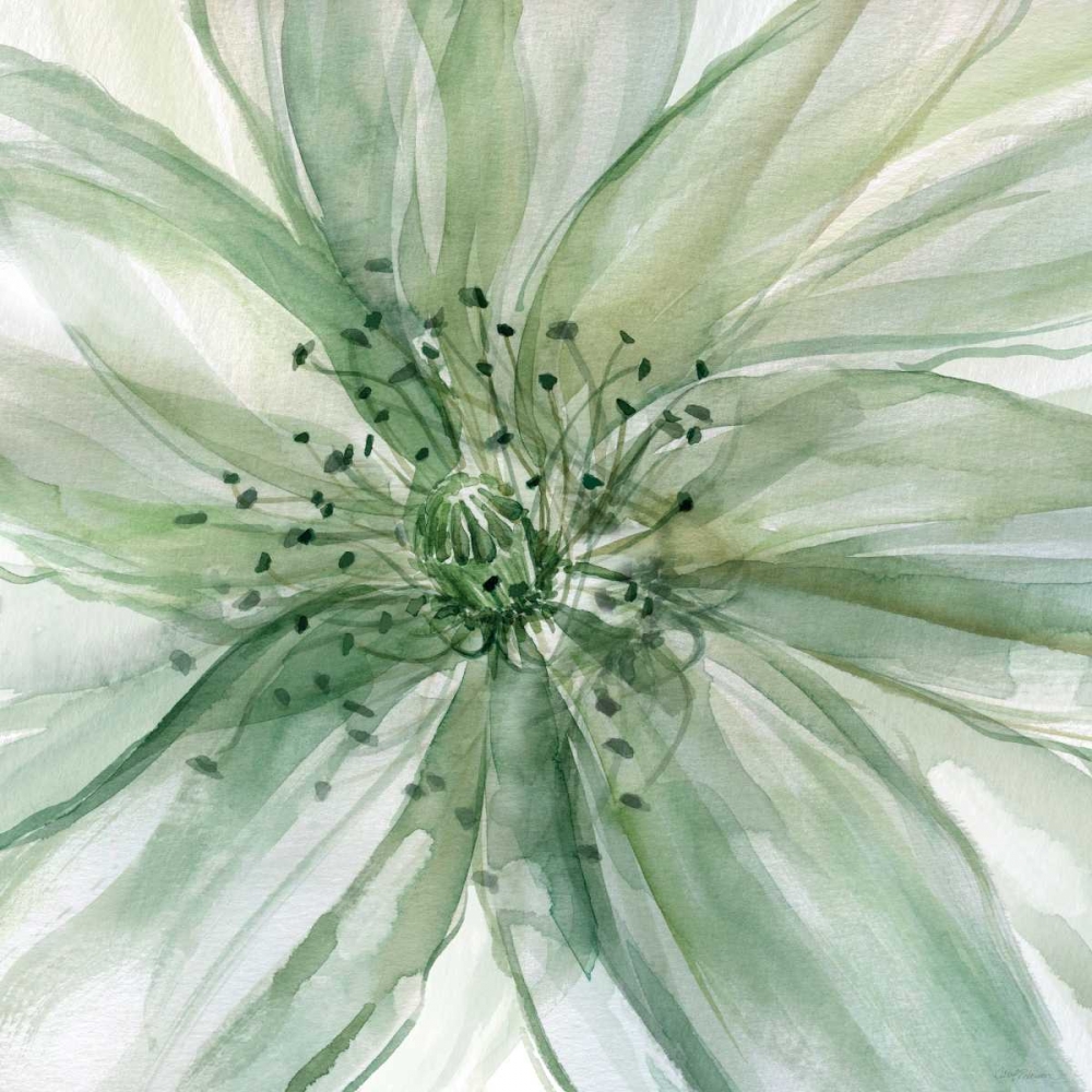 Macro Sage Flower art print by Carol Robinson for $57.95 CAD