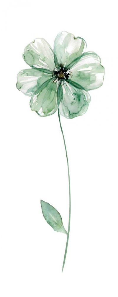 Sage Flower I art print by Carol Robinson for $57.95 CAD