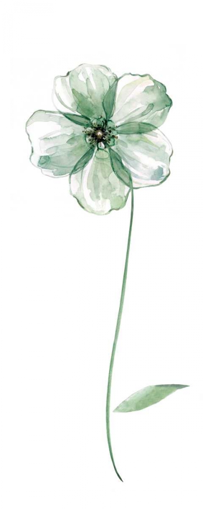 Sage Flower II art print by Carol Robinson for $57.95 CAD