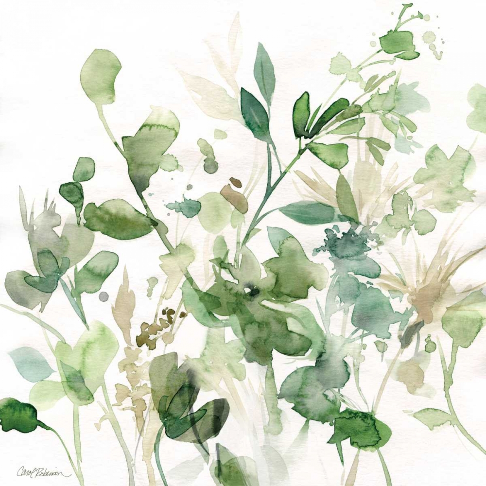 Sage Garden I art print by Carol Robinson for $57.95 CAD