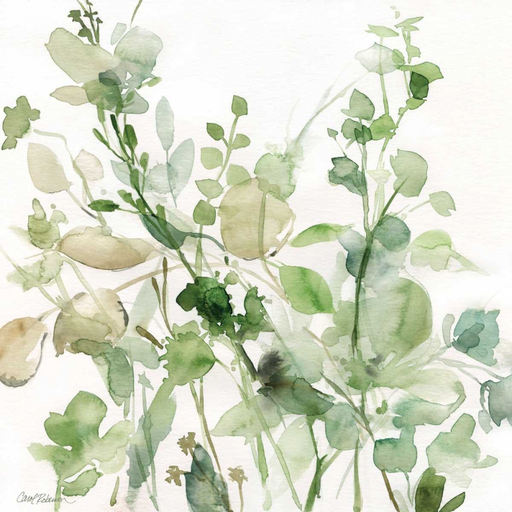 Sage Garden II art print by Carol Robinson for $57.95 CAD