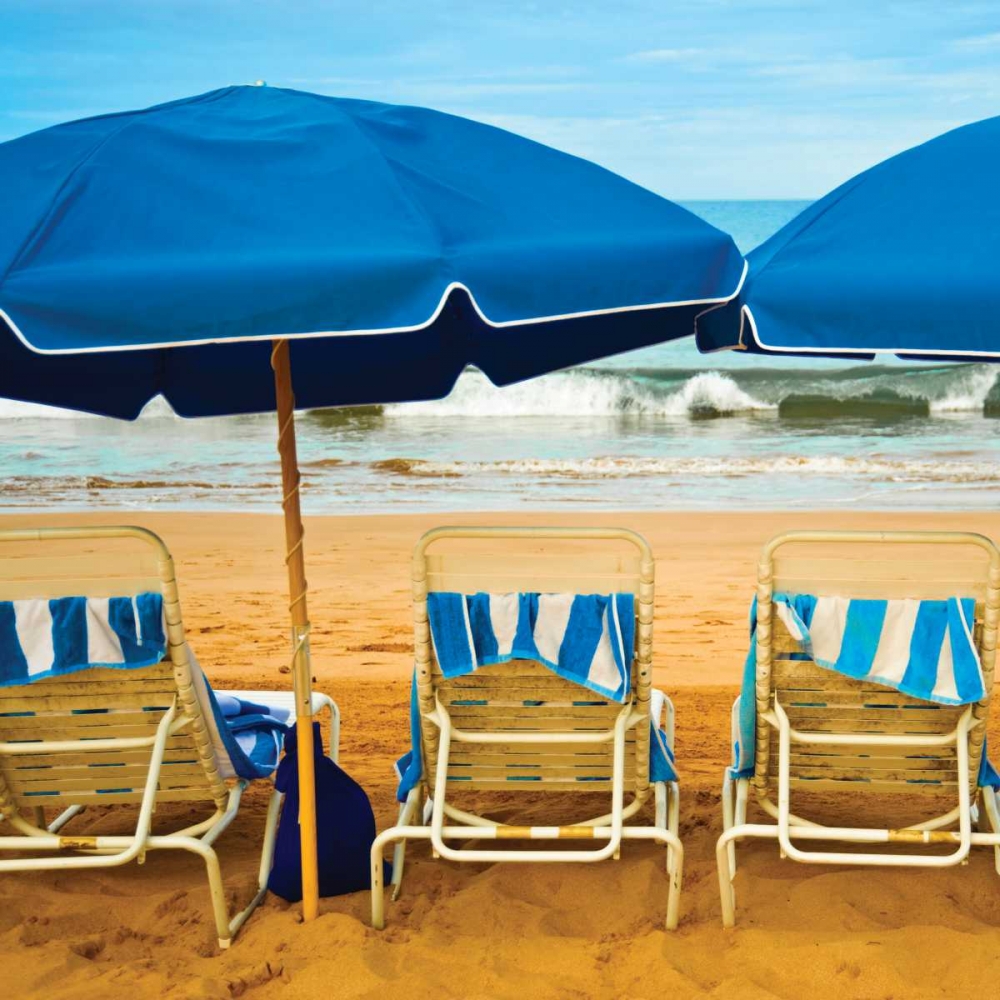 Bright Beach III art print by Danita Delimont for $57.95 CAD