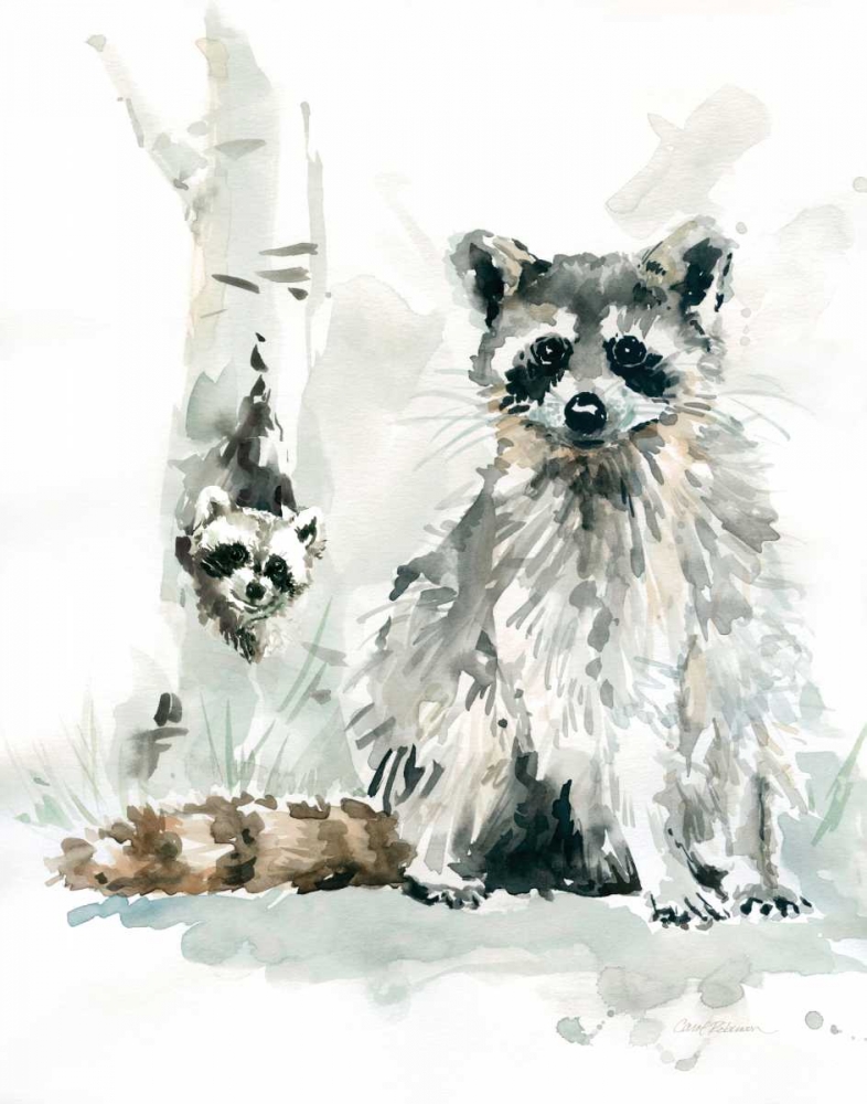 Raccoon and Baby art print by Carol Robinson for $57.95 CAD