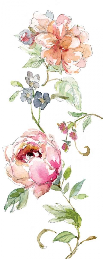 Trailing Blooms I art print by Carol Robinson for $57.95 CAD
