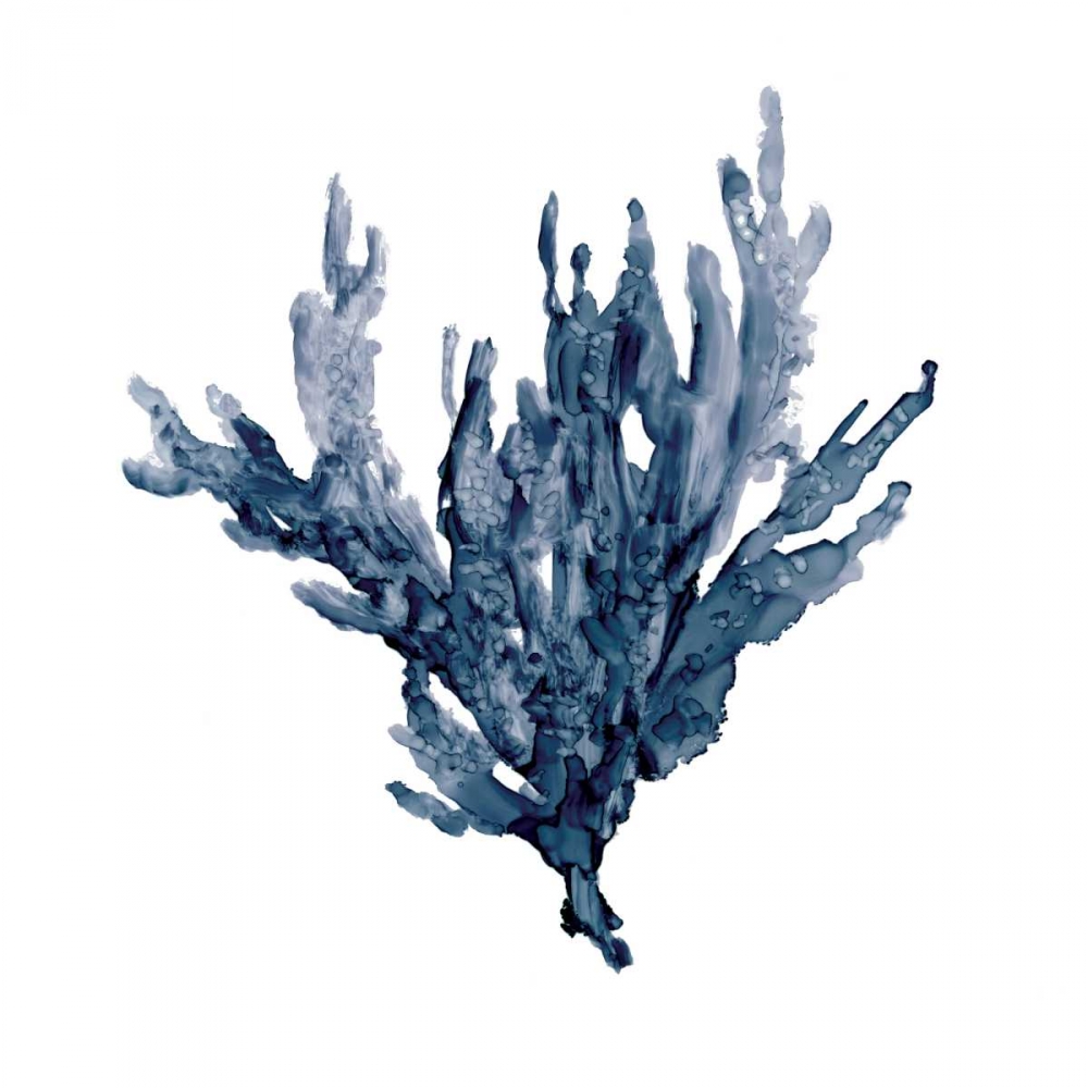 Sea Coral I art print by Carol Robinson for $57.95 CAD