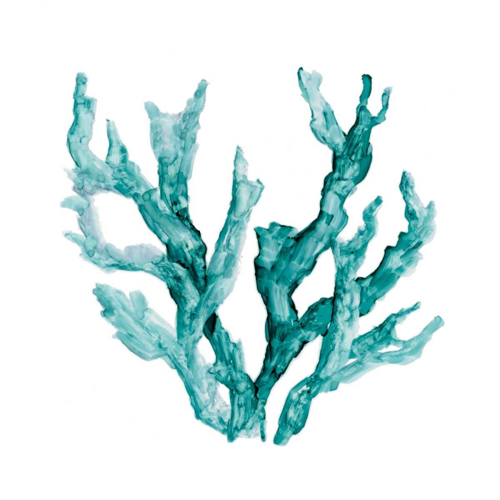 Sea Coral II art print by Carol Robinson for $57.95 CAD