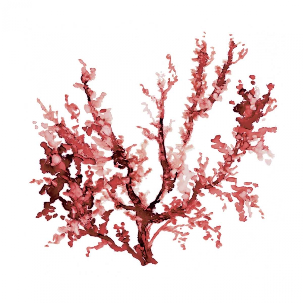Sea Coral III art print by Carol Robinson for $57.95 CAD