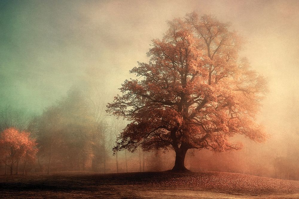 Standing Proud art print by Lars Van de Goor for $57.95 CAD