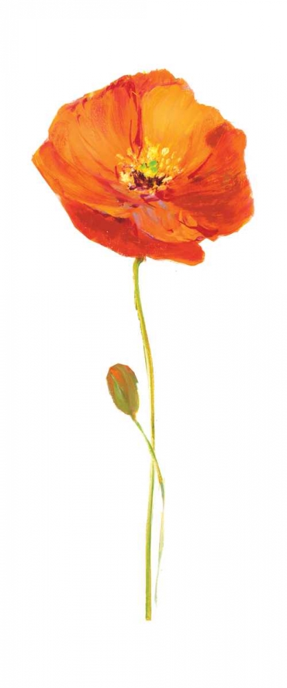 Poppy Pop II art print by Nan for $57.95 CAD
