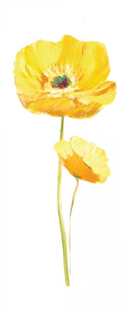 Poppy Pop III art print by Nan for $57.95 CAD