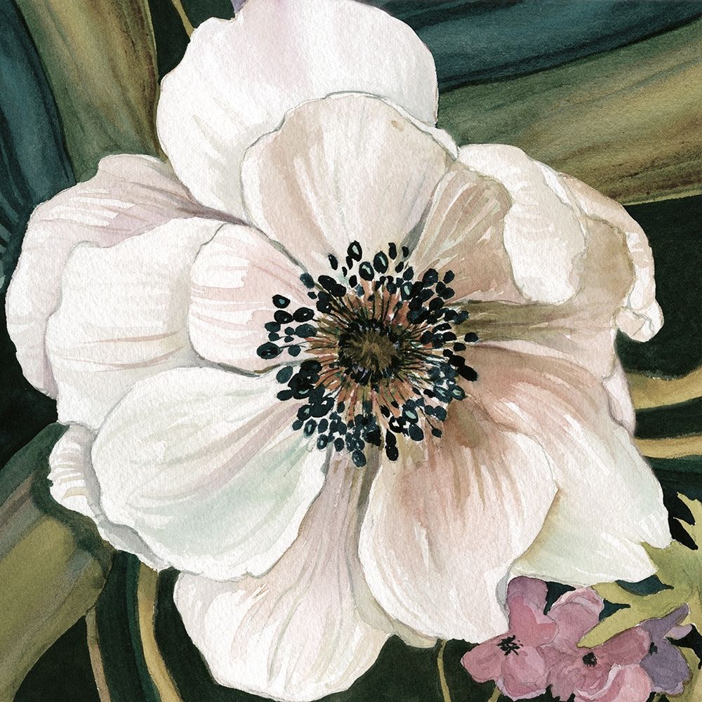 Anemone Study IV art print by Carol Robinson for $57.95 CAD