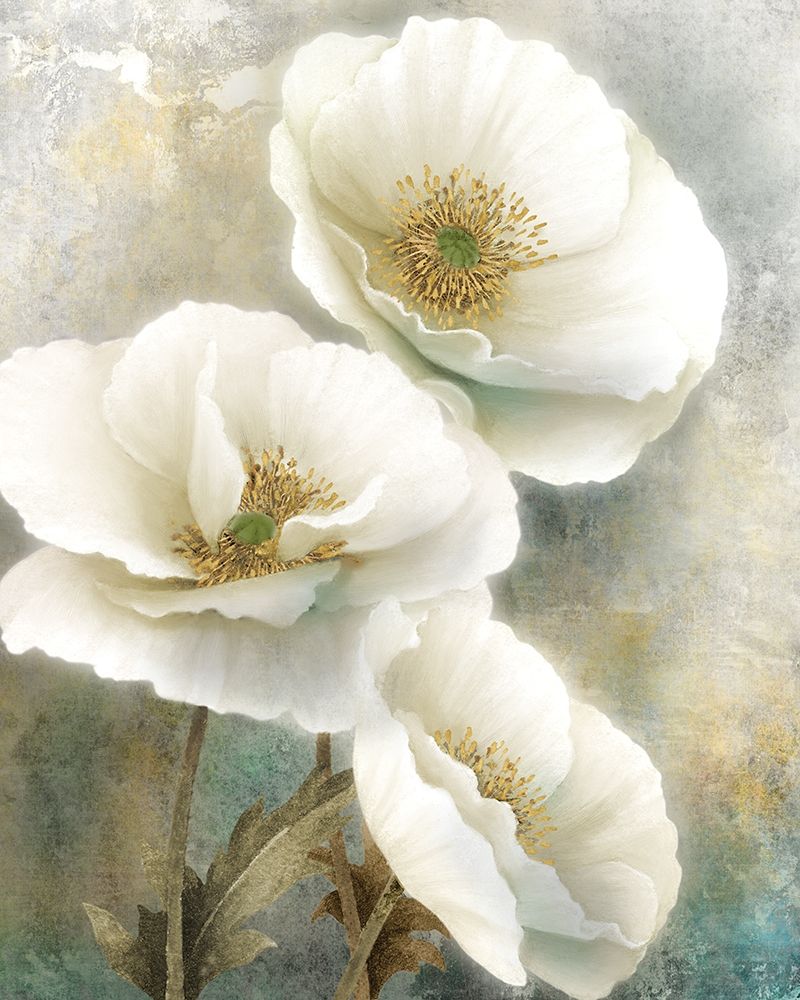 Soft Spring I art print by Conrad Knutsen for $57.95 CAD