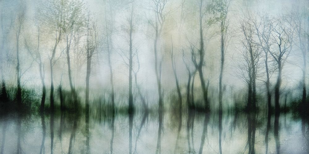 Mirrored Pond art print by Irene Weisz for $57.95 CAD