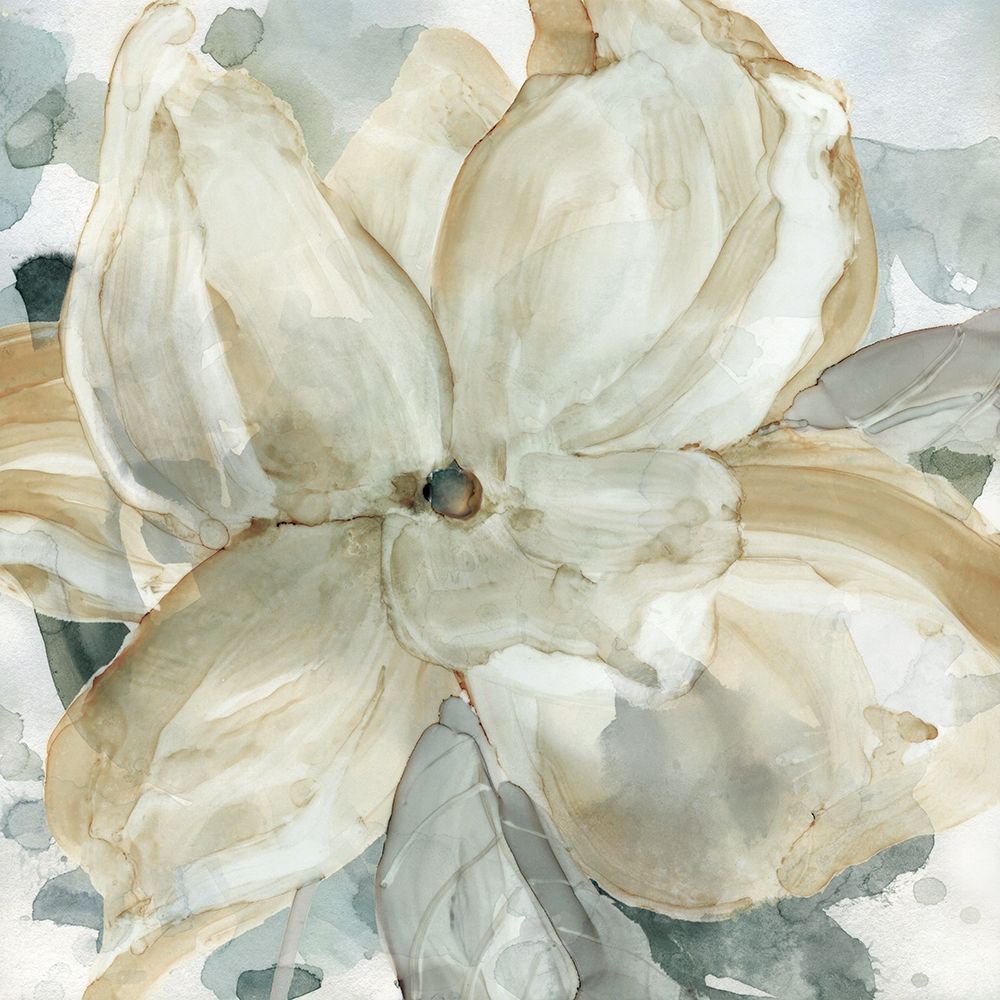 Belle Bloom art print by Carol Robinson for $57.95 CAD