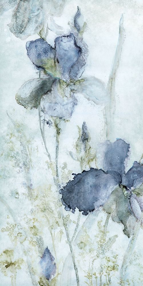 Morning Iris art print by Carol Robinson for $57.95 CAD